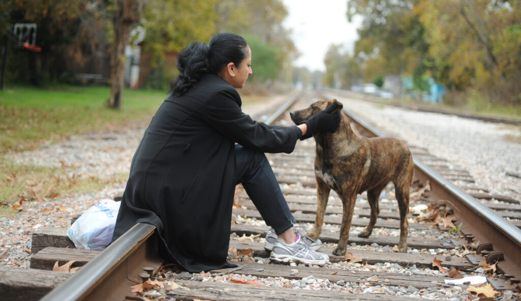 Barrio Dog Found dog