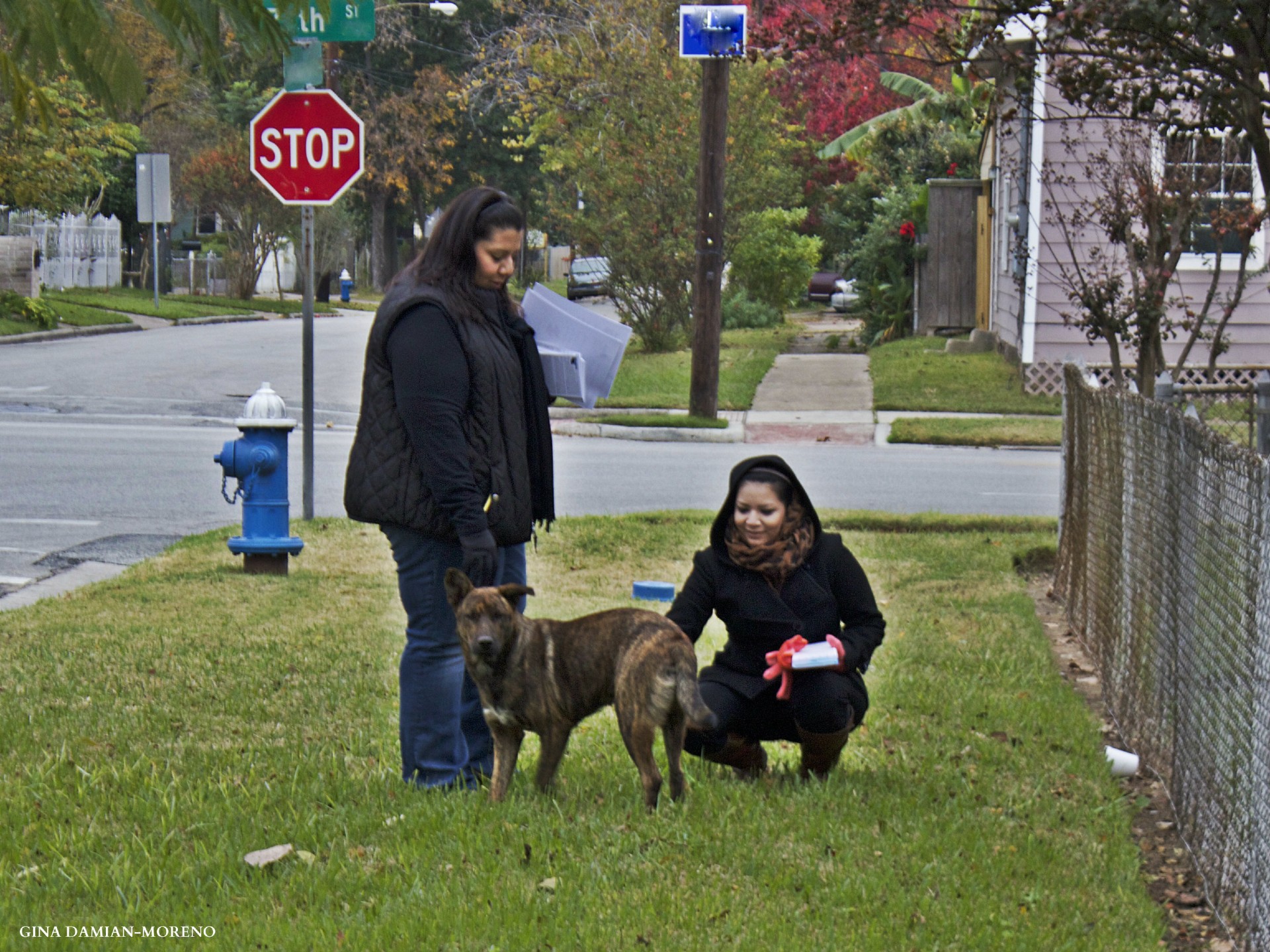 Barrio Dog Neighborhood Advocates
