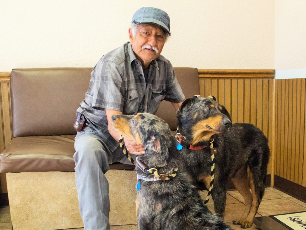 Barrio Dogs Donate Now