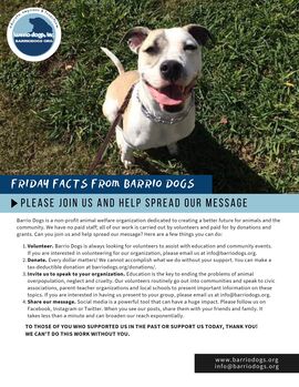 Barrio Dogs Friday facts-SE-Join us-E