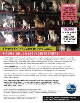 Barrio Dogs Friday facts-SE-puppy mills_backyard breeders-E