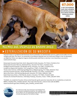 Barrio Dogs Friday facts-SE-spay.neuter-S