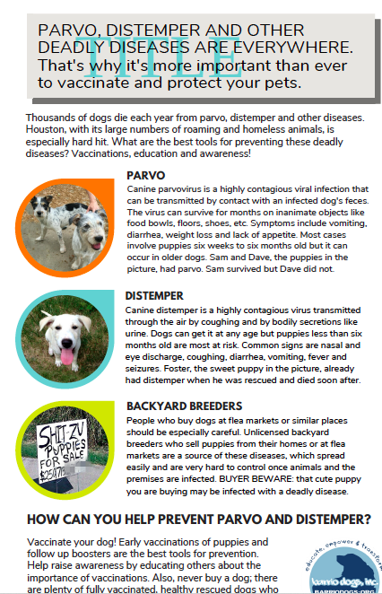 Barrio Dogs Parvo.Distemper.info.flyer